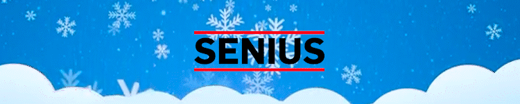 SENIUS Logo with snow